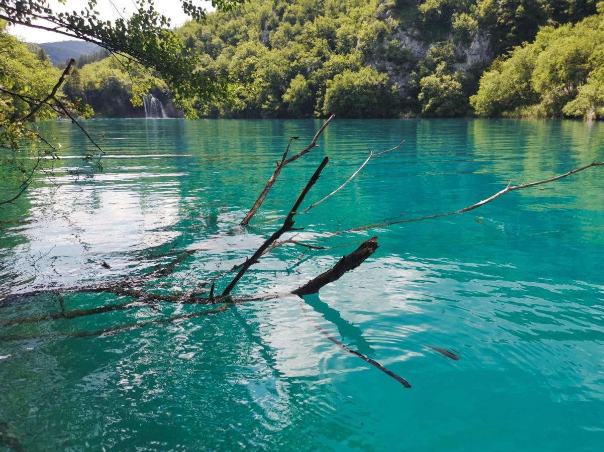 فندق Green Garden Plitvice Lakes بليتفيكا سيلو المظهر الخارجي الصورة